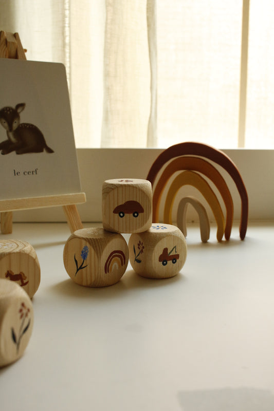 Hand-Illustrated Decorative Wooden Cubes - Set of 3 - Model 1 by Natasha Prévost