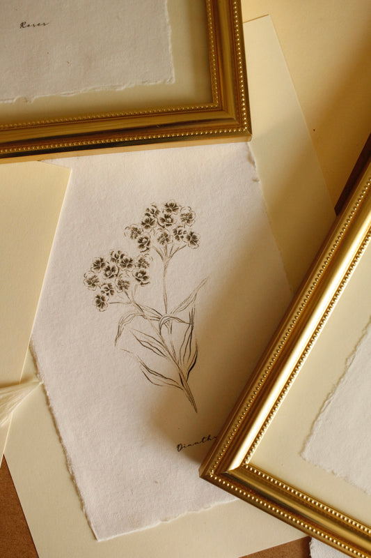 Print 458-Série-Fleurs fusain noir & blanc