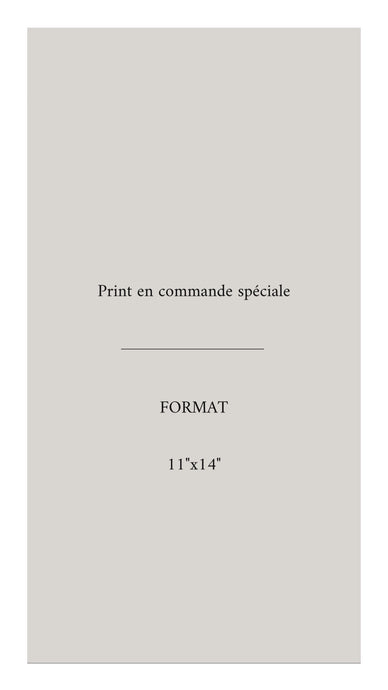 PRINT en Commande spéciale-11