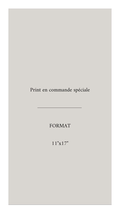 PRINT en Commande spéciale-11