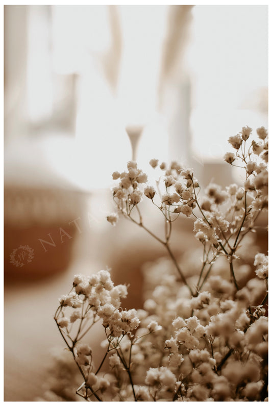 Photo d’ambiance-Série Sans texte-Photo 32