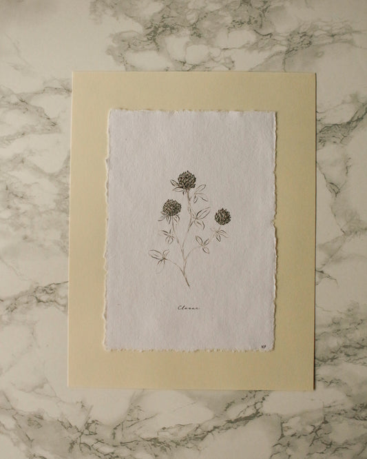 Print 456-Série-Fleurs fusain noir & blanc