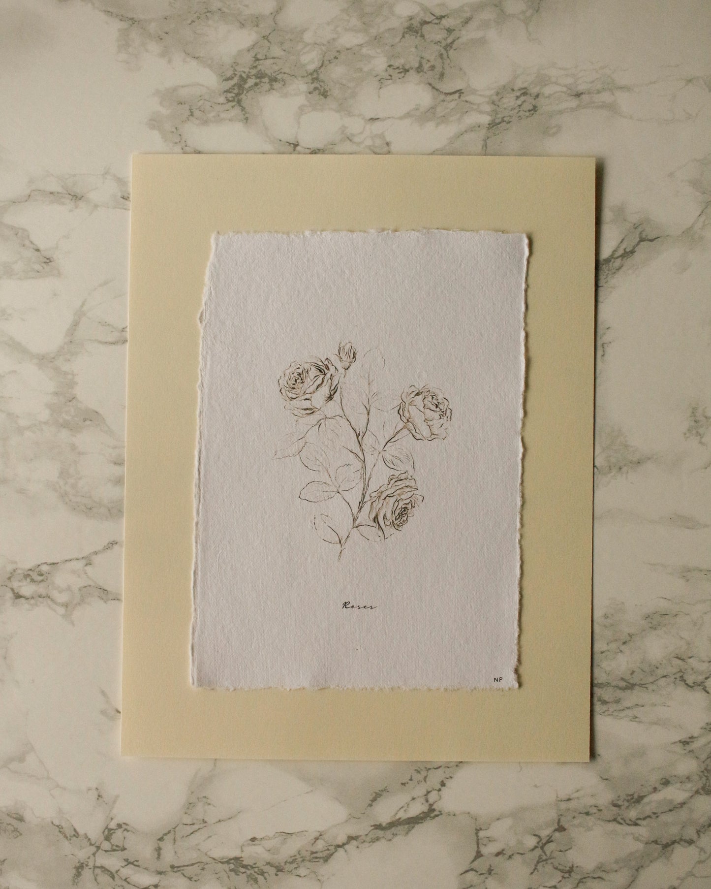 Art Print 455 - Black & White Charcoal Flowers Series by Natasha Prévost