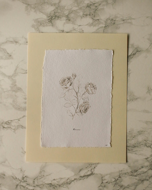 Print 455-Série-Fleurs fusain noir & blanc