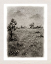 Print 403 -Collection paysage fusain noir & blanc