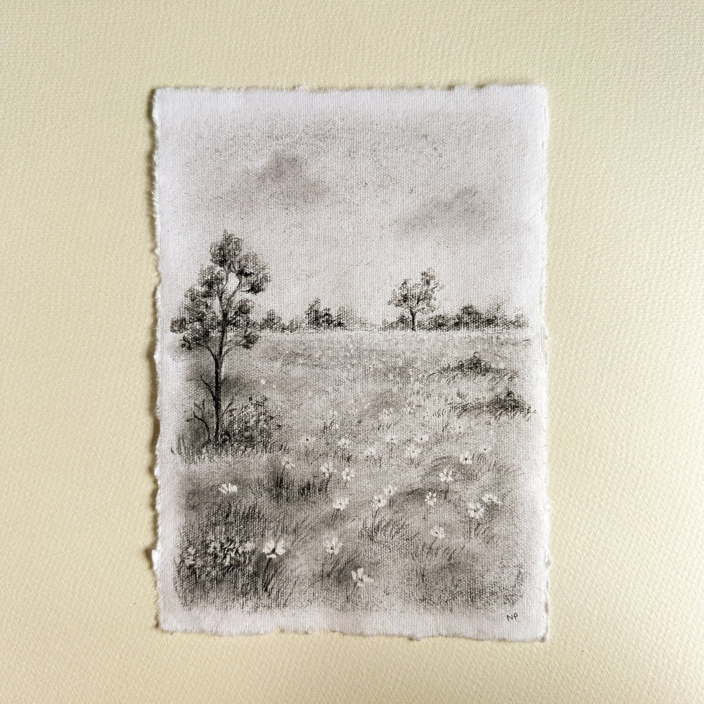 Original Drawing - Charcoal Landscape 5 by Natasha Prévost
