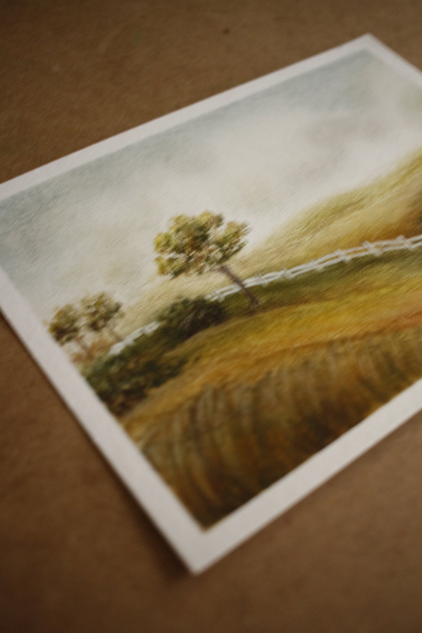 Tableau original-Little white fence