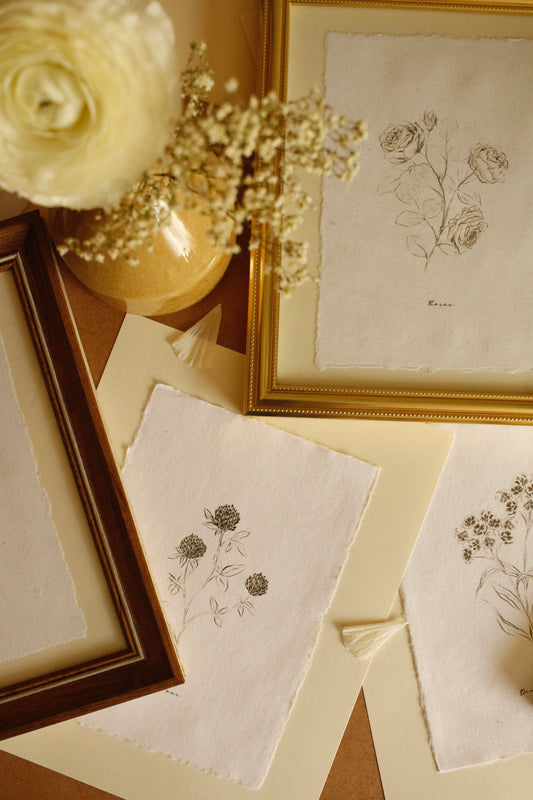 Print 455-Série-Fleurs fusain noir & blanc