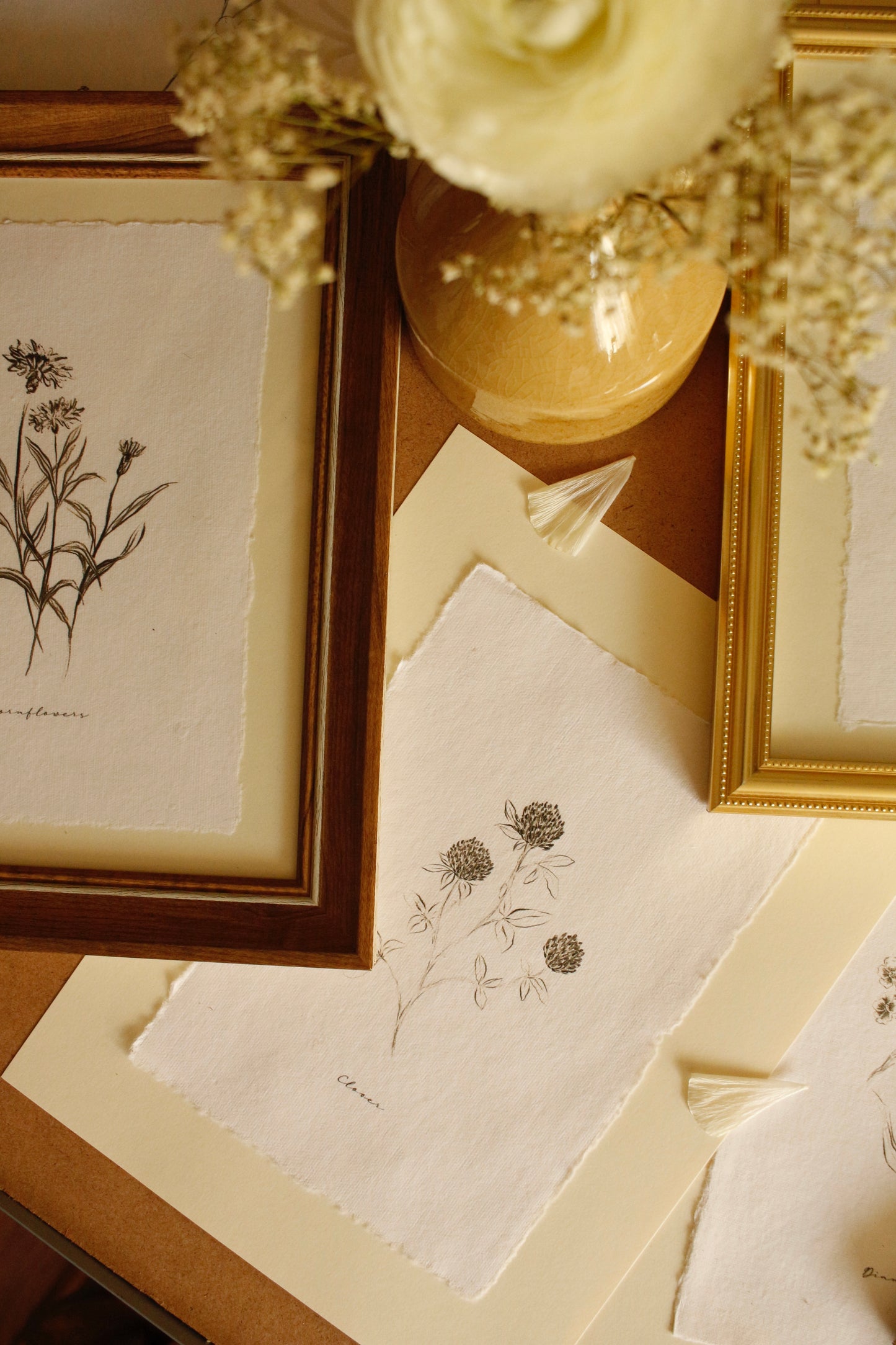 Art Print 457 - Black & White Charcoal Flowers Series by Natasha Prévost