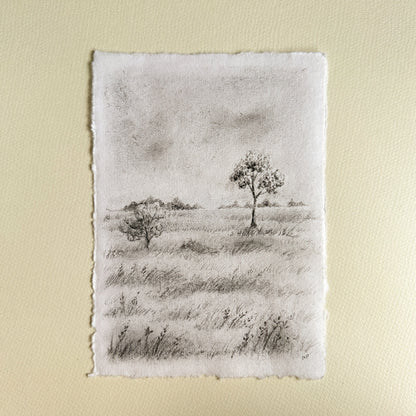 Original Drawing - Charcoal Landscape 1 by Natasha Prévost