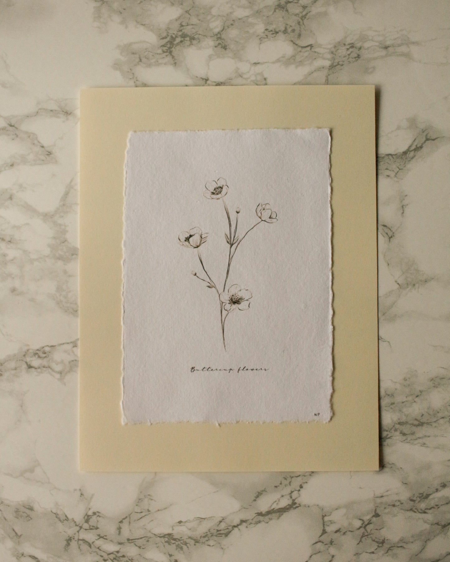 Art Print 459 - Black & White Charcoal Flowers Series by Natasha Prévost