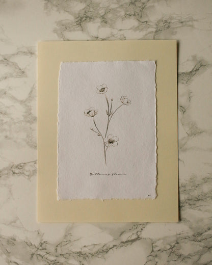 Art Print 459 - Black & White Charcoal Flowers Series by Natasha Prévost