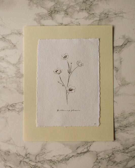 Print 459-Série-Fleurs fusain noir & blanc