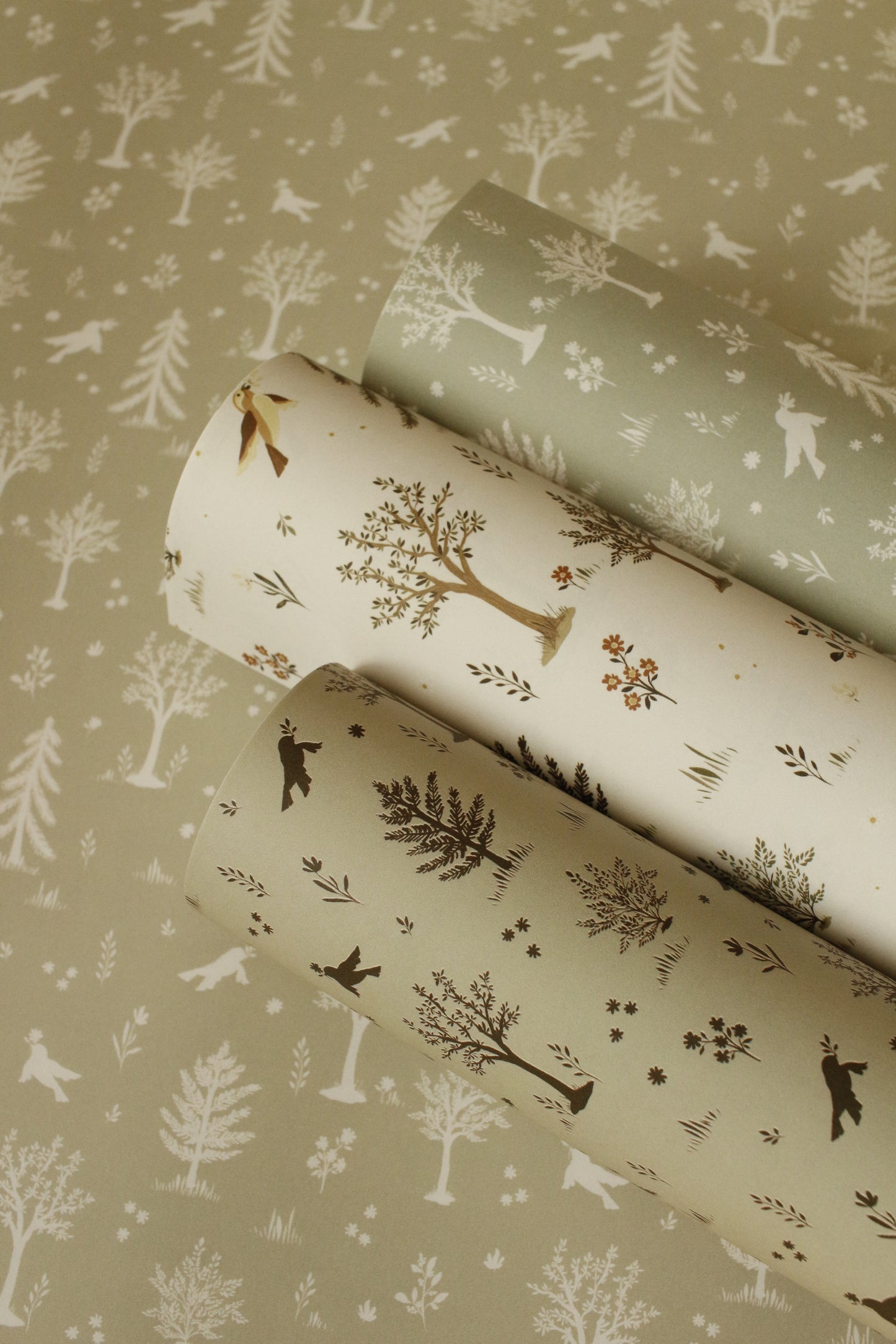 Wrapping Paper - Model 11 by Natasha Prévost