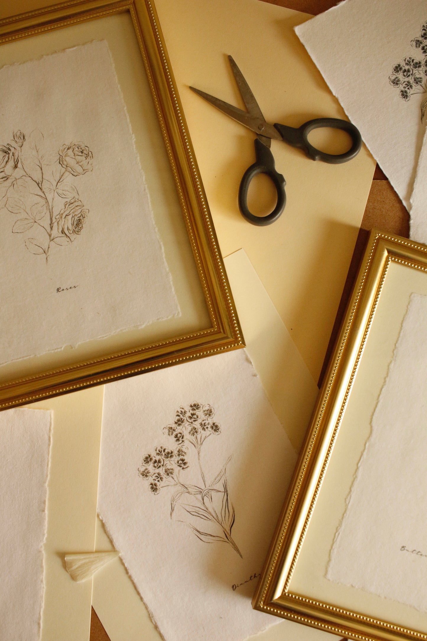 Art Print 458 - Black & White Charcoal Flowers Series by Natasha Prévost