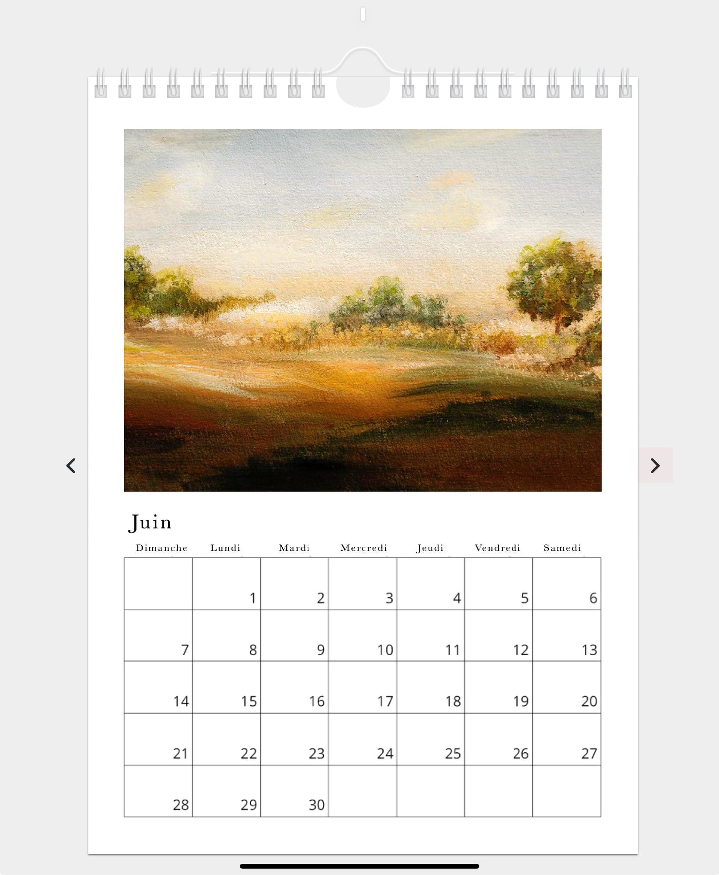 2026 Illustrated Calendar by Natasha Prévost