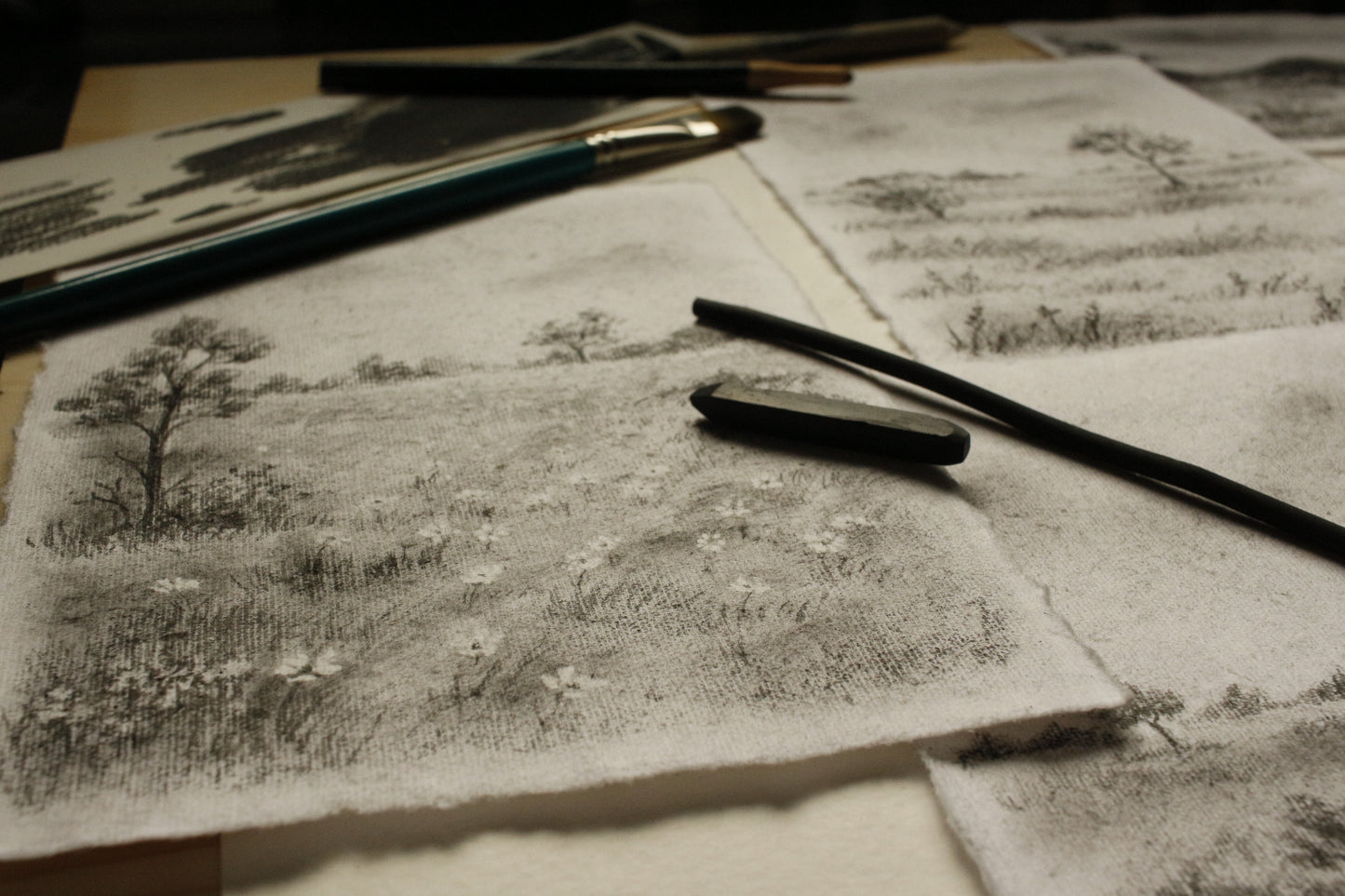 Original Drawing - Charcoal Landscape 5 by Natasha Prévost