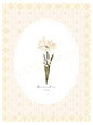 Art Print 544- Birth Flower series by Natasha Prévost