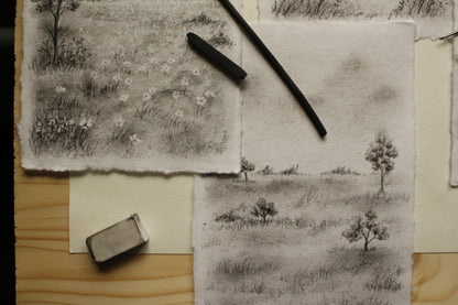 Original Drawing - Charcoal Landscape 5 by Natasha Prévost