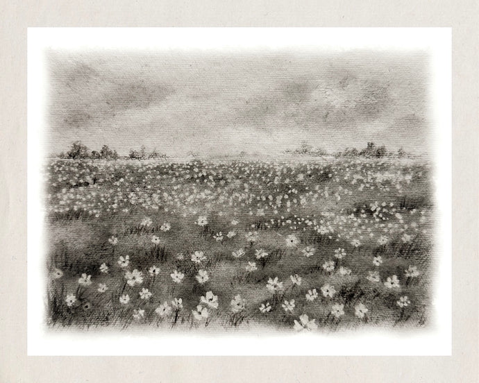 Print 406- Collection paysage fusain noir & blanc