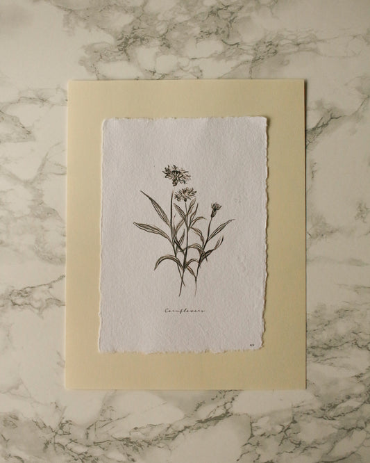 Print 457-Série-Fleurs fusain noir & blanc