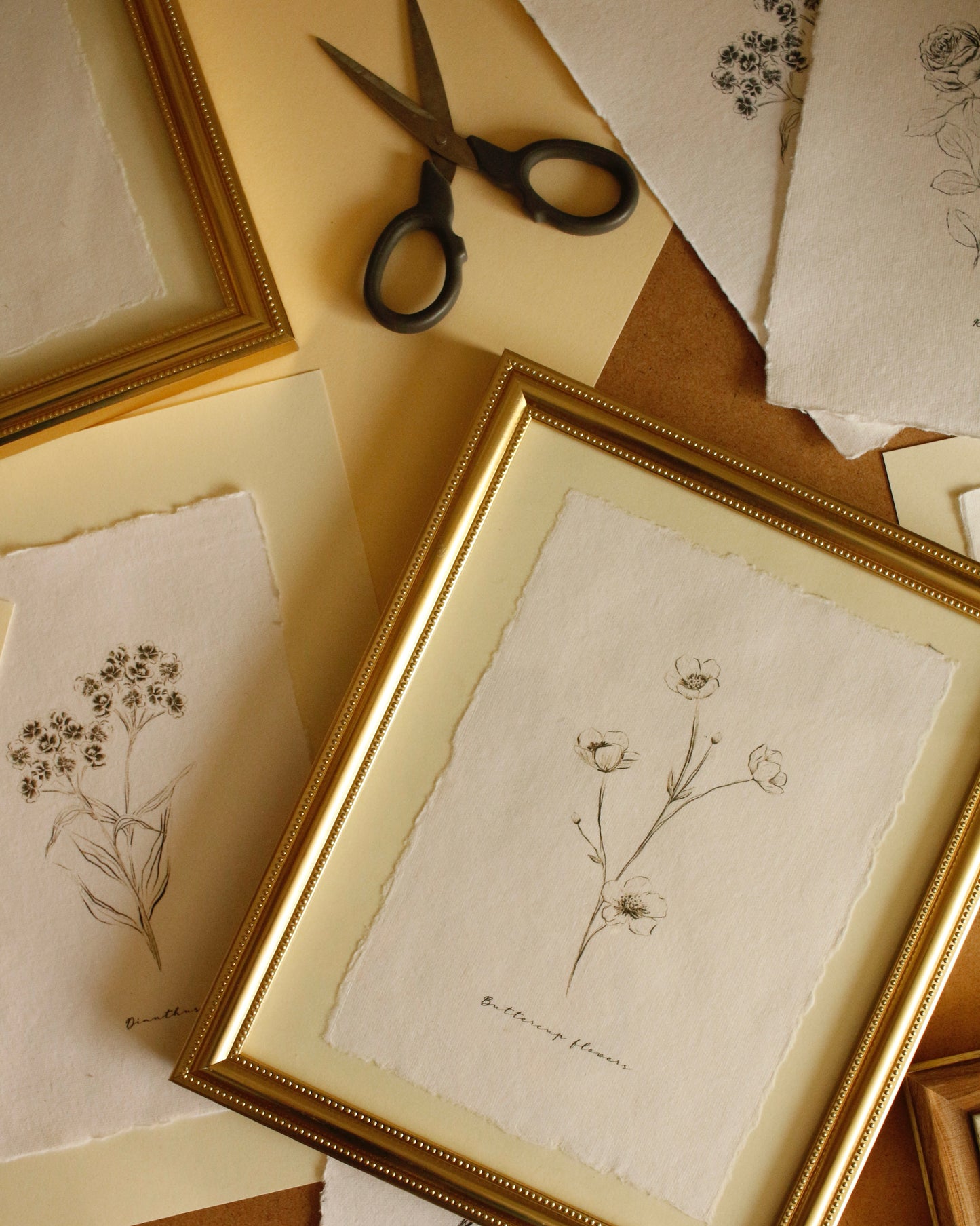 Art Print 459 - Black & White Charcoal Flowers Series by Natasha Prévost