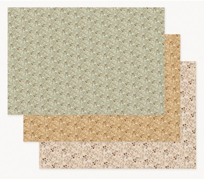 Feuilles d’emballage-Ensemble B