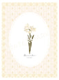 Art Print 544- Birth Flower series by Natasha Prévost