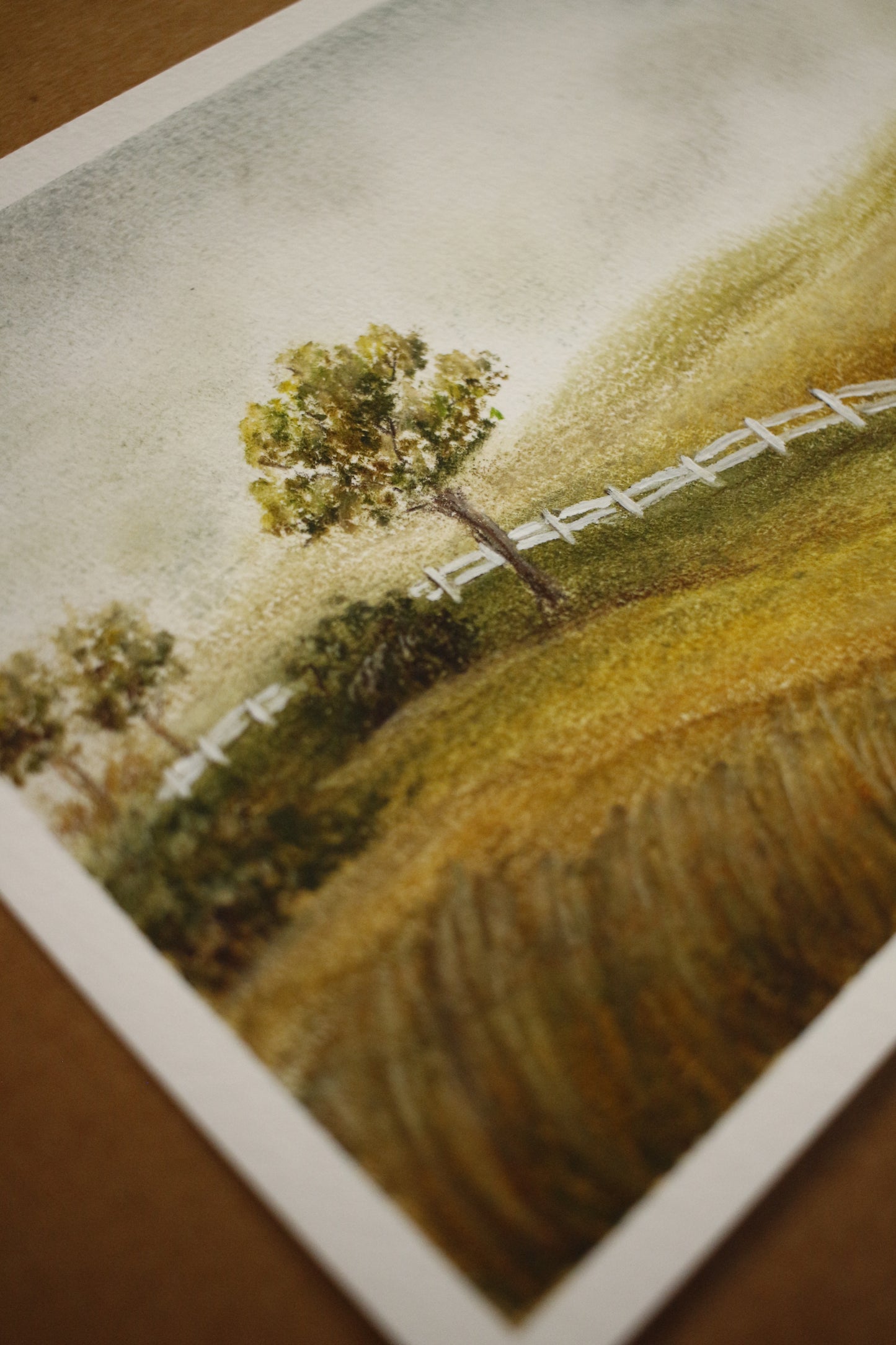 Tableau original-Little white fence