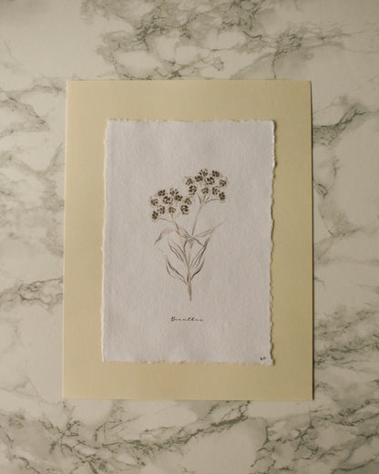 Art Print 458 - Black & White Charcoal Flowers Series by Natasha Prévost