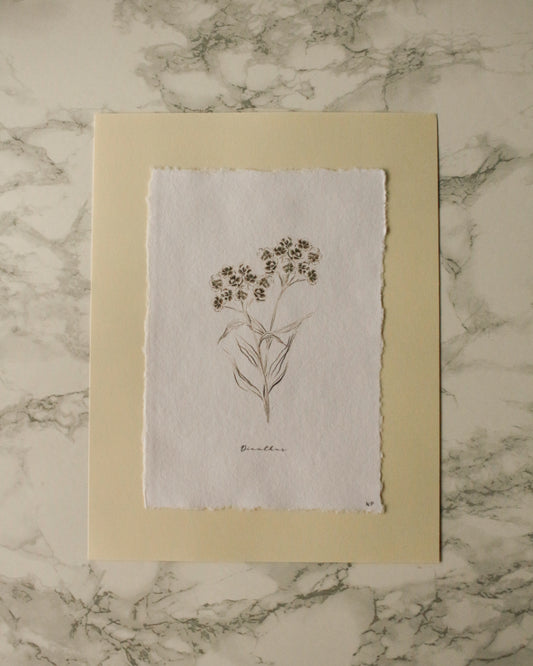 Print 458-Série-Fleurs fusain noir & blanc