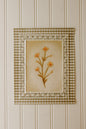 Art Print 577-Laced Prints Series-Part 2 by Natasha Prévost