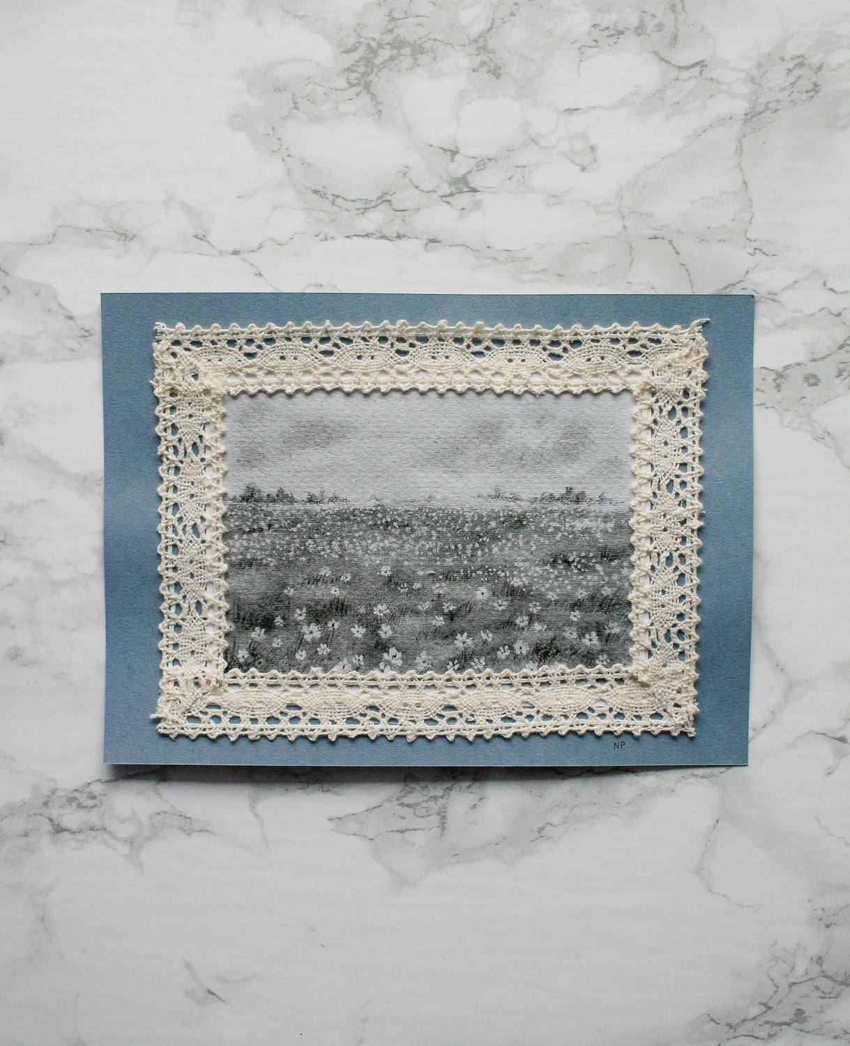 Art Print 465 - Print & Lace Series by Natasha Prévost