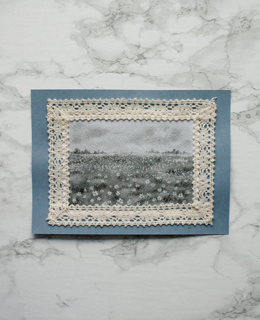 Art Print 465 - Print & Lace Series by Natasha Prévost