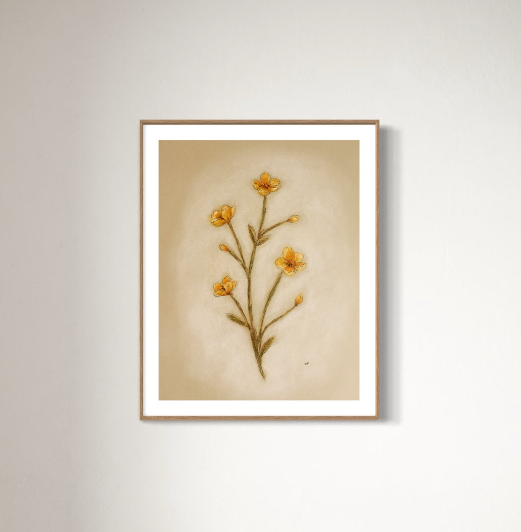 Print 454- Buttercups