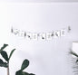 Decorative Clothesline-Four birds & leaf design
