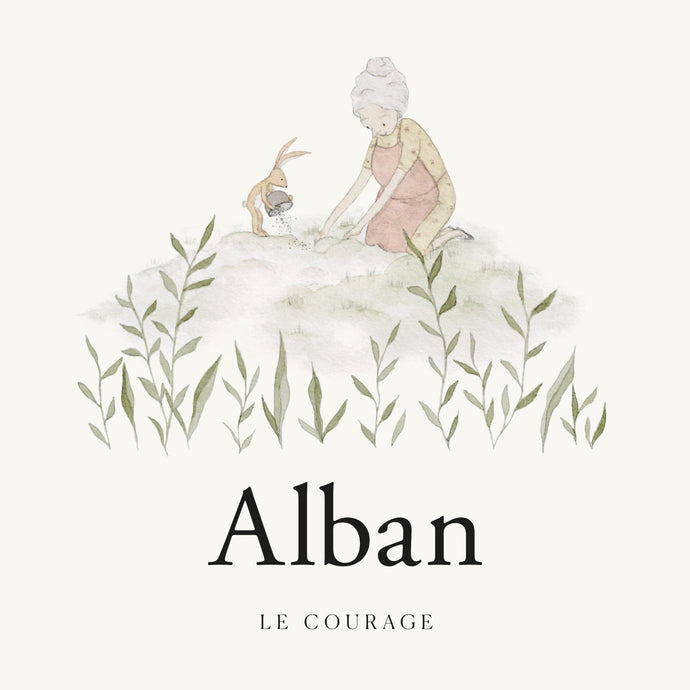 Alban- Le courage-Livre pour enfants