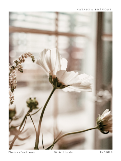 Lifestyle Photography Print - Floral Series - Image 2 by Natasha Prévost
