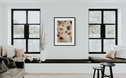 Photo d’ambiance-Série Sans texte-Photo 15