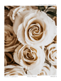 Lifestyle Photography Print - Floral Series - Image 6 by Natasha Prévost