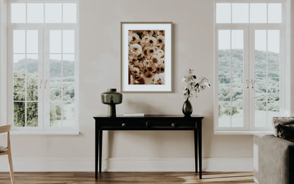 Photo d’ambiance-Série Sans texte-Photo 34