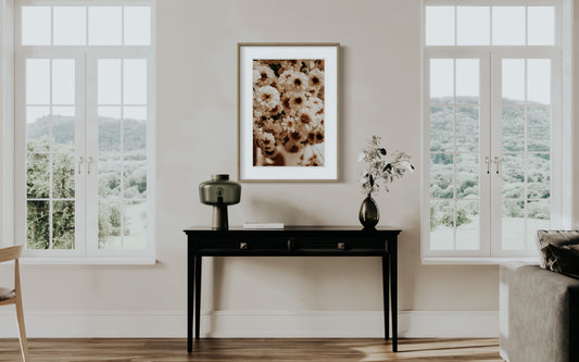 Photo d’ambiance-Série Sans texte-Photo 34