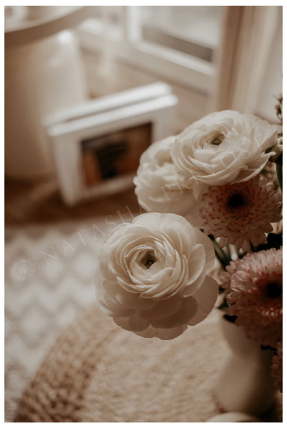 Photo d’ambiance-Série Sans texte-Photo 23