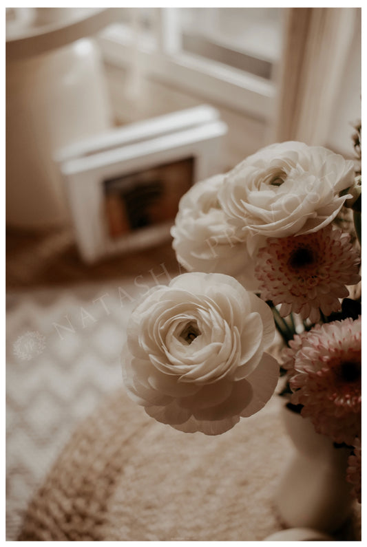 Photo d’ambiance-Série Sans texte-Photo 23