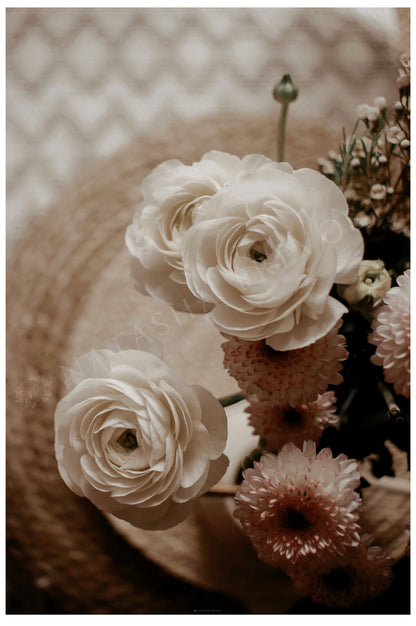 Photo d’ambiance-Série Sans texte-Photo 2