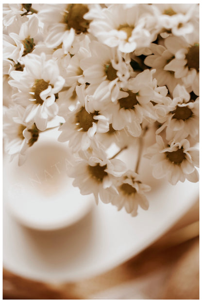 Photo d’ambiance-Série Sans texte-Photo 24