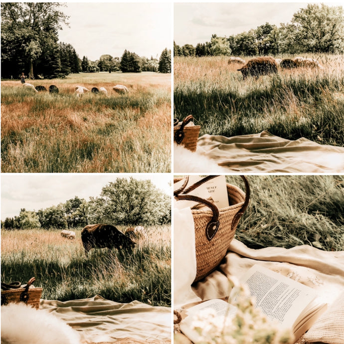 Fonds d’écran -Ensemble 1