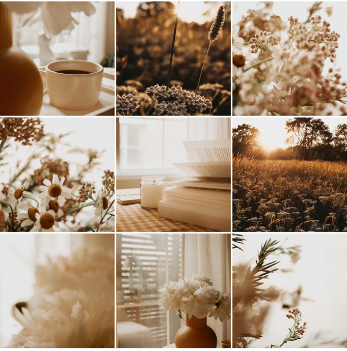 Fonds d’écran -Ensemble 3