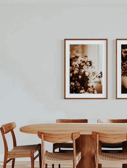 Photo d’ambiance-Série Sans texte-Photo 14