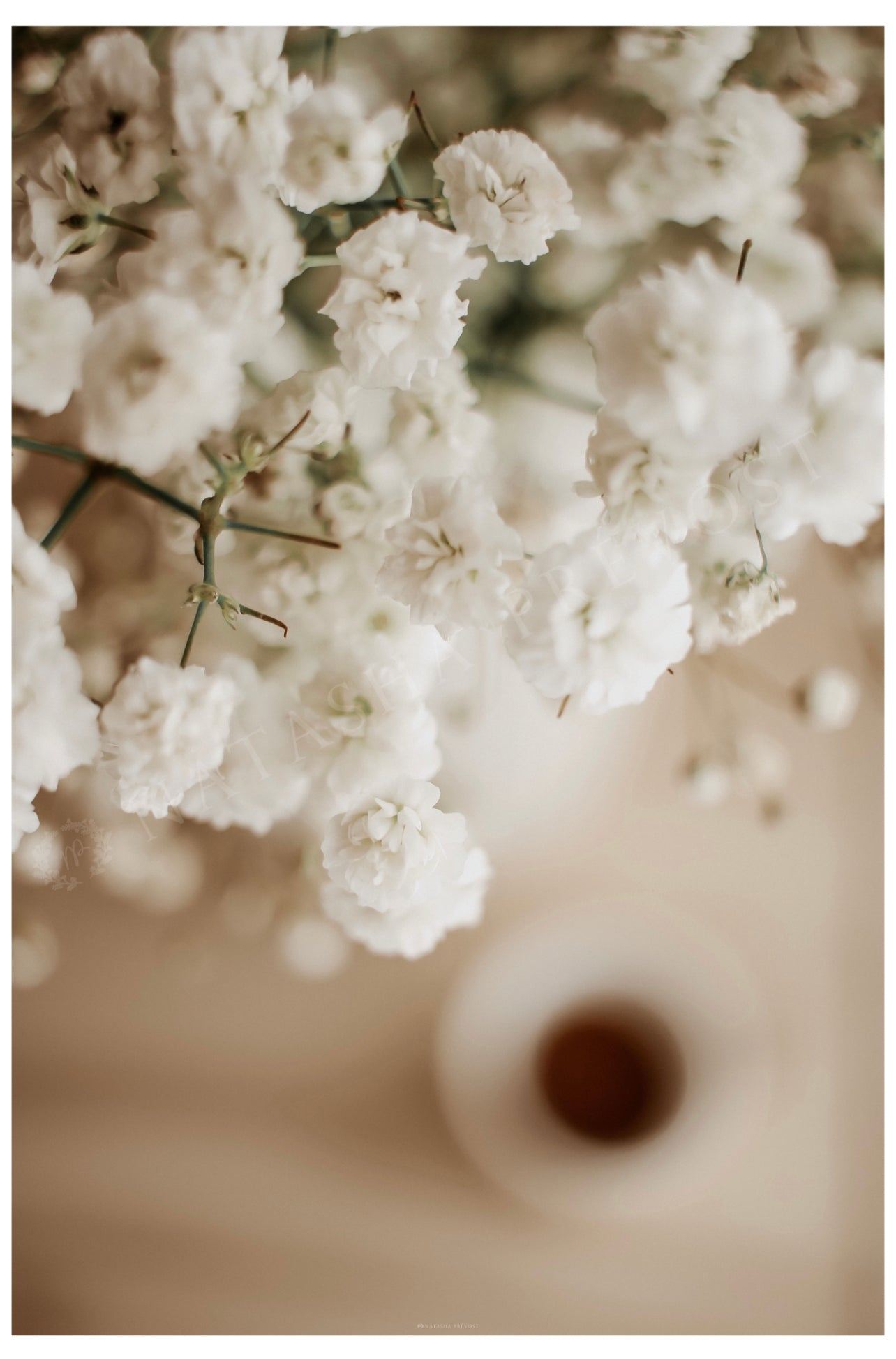 Lifestyle Photography Print - Text-Free Series - Photo 34 by Natasha Prévost